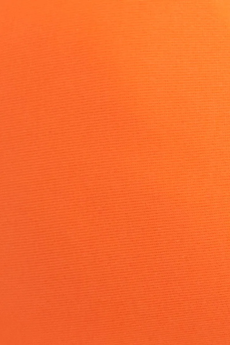 Orange Bikini Two Piece